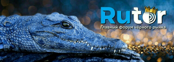 1709403570895.png