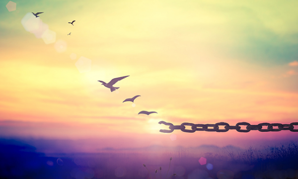1709945244192.png