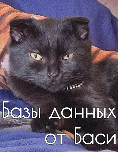 Kotik Basya