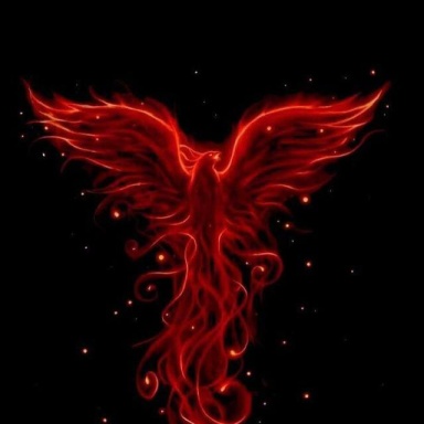 phoenix_database