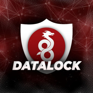 Datalock
